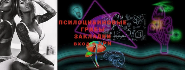 трава Аркадак