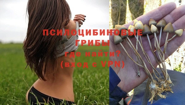 прущий лед Арсеньев