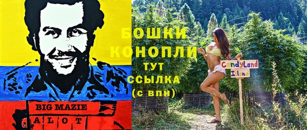 прущий лед Арсеньев