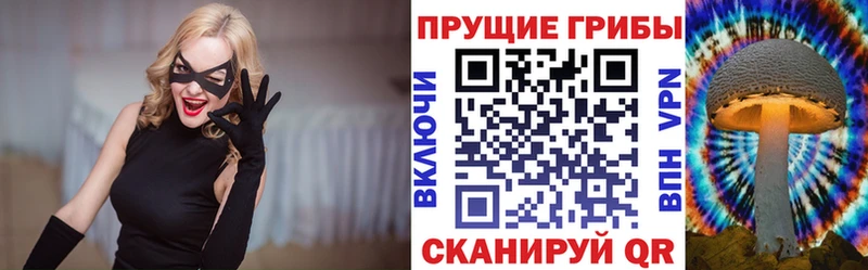 Псилоцибиновые грибы GOLDEN TEACHER  наркотики  Заречный 