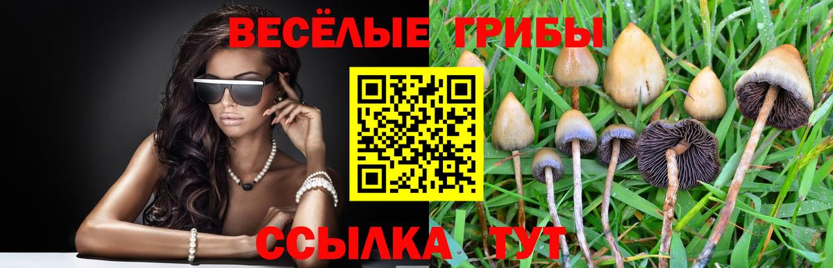 Заречный  Псилоцибиновые грибы MAGIC MUSHROOMS  Вход с VPN 